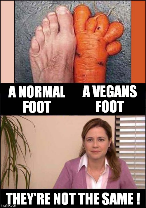 Vegans Beware ! | A VEGANS
FOOT; A NORMAL
FOOT; THEY'RE NOT THE SAME ! | image tagged in veganism,they're the same picture | made w/ Imgflip meme maker