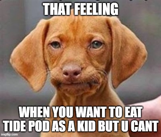 OOF FRUSTRATION | THAT FEELING; WHEN YOU WANT TO EAT TIDE POD AS A KID BUT U CANT | image tagged in frustrated dog | made w/ Imgflip meme maker