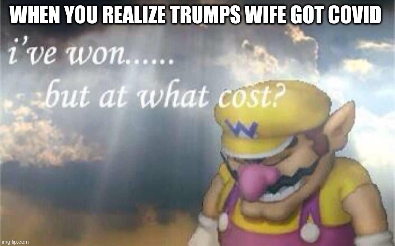 cost? | WHEN YOU REALIZE TRUMPS WIFE GOT COVID | image tagged in trump,covid19,memes | made w/ Imgflip meme maker