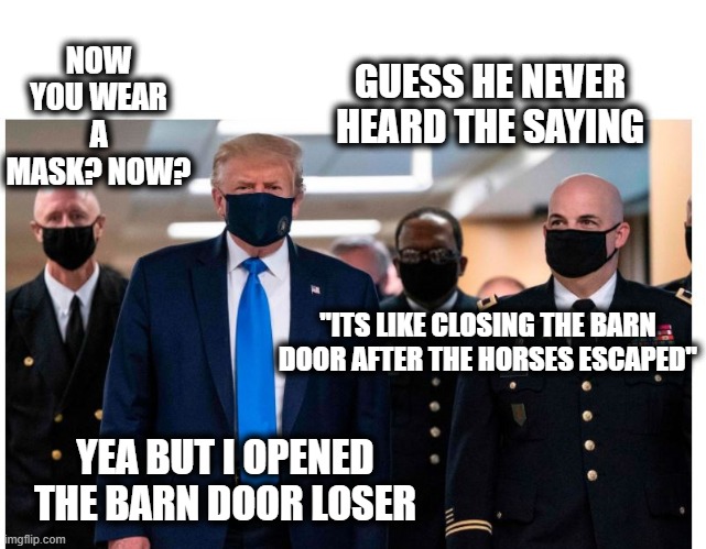 Is it now McDonalds Revenge? Remember only 9% die right? | NOW YOU WEAR A MASK? NOW? GUESS HE NEVER HEARD THE SAYING; "ITS LIKE CLOSING THE BARN DOOR AFTER THE HORSES ESCAPED"; YEA BUT I OPENED THE BARN DOOR LOSER | image tagged in memes,politics,coronavirus,impeach trump,maga,corruption | made w/ Imgflip meme maker