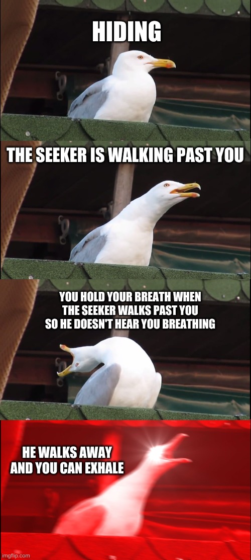 Inhaling Seagull Meme | HIDING; THE SEEKER IS WALKING PAST YOU; YOU HOLD YOUR BREATH WHEN THE SEEKER WALKS PAST YOU SO HE DOESN'T HEAR YOU BREATHING; HE WALKS AWAY AND YOU CAN EXHALE | image tagged in memes,inhaling seagull | made w/ Imgflip meme maker