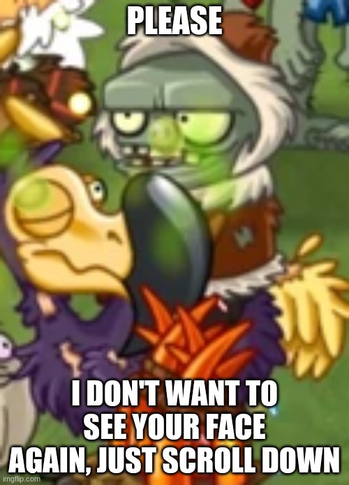 Do-do do not want to see your face | PLEASE; I DON'T WANT TO SEE YOUR FACE AGAIN, JUST SCROLL DOWN | image tagged in plants vs zombies,birds | made w/ Imgflip meme maker