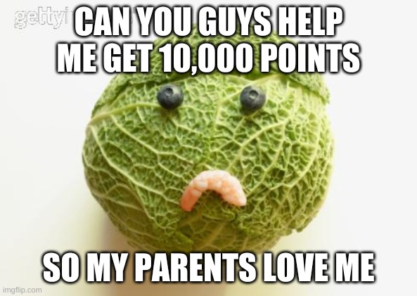 sad cabbage | CAN YOU GUYS HELP ME GET 10,000 POINTS; SO MY PARENTS LOVE ME | image tagged in sad cabbage | made w/ Imgflip meme maker