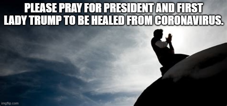 PLEASE PRAY FOR PRESIDENT AND FIRST LADY TRUMP TO BE HEALED FROM CORONAVIRUS. | image tagged in president trump,melania trump,prayer,coronavirus | made w/ Imgflip meme maker