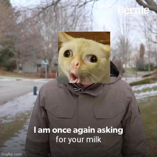 If you ask politely...... | for your milk | image tagged in memes,bernie i am once again asking for your support | made w/ Imgflip meme maker