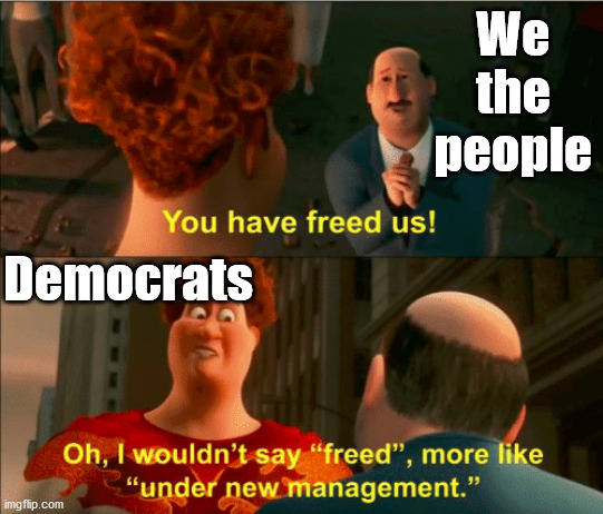 If the democrats win this fall. Things will not get better but we would loose even more rights. | We the people; Democrats | image tagged in political meme,democrats,election 2020 | made w/ Imgflip meme maker