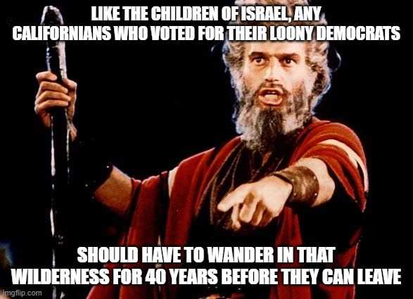 Crazy California | LIKE THE CHILDREN OF ISRAEL, ANY CALIFORNIANS WHO VOTED FOR THEIR LOONY DEMOCRATS; SHOULD HAVE TO WANDER IN THAT WILDERNESS FOR 40 YEARS BEFORE THEY CAN LEAVE | image tagged in angry old moses | made w/ Imgflip meme maker
