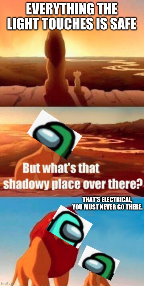 Simba Shadowy Place Meme | EVERYTHING THE LIGHT TOUCHES IS SAFE; THAT'S ELECTRICAL, YOU MUST NEVER GO THERE. | image tagged in memes,simba shadowy place | made w/ Imgflip meme maker