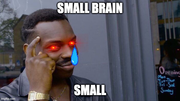 Roll Safe Think About It | SMALL BRAIN; SMALL | image tagged in memes,roll safe think about it | made w/ Imgflip meme maker