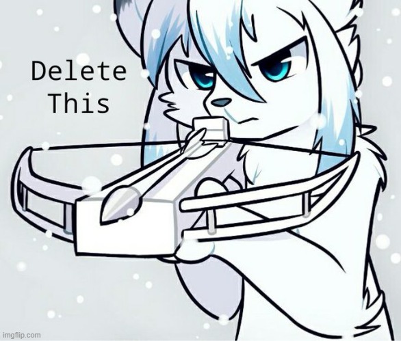 Rin delete this | image tagged in rin delete this | made w/ Imgflip meme maker