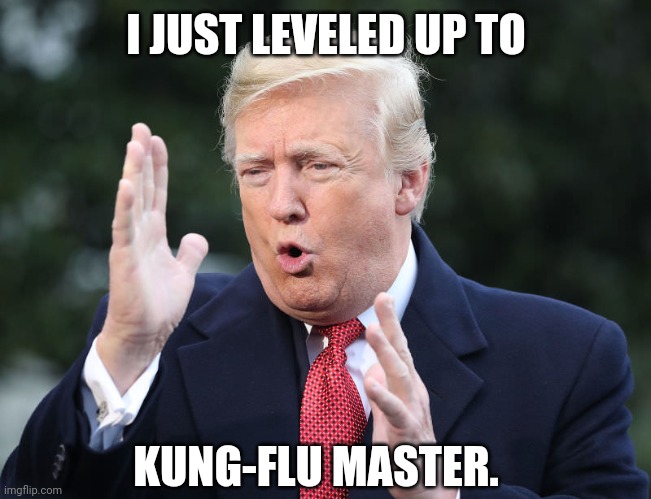 Kung flu | I JUST LEVELED UP TO; KUNG-FLU MASTER. | image tagged in donald trump | made w/ Imgflip meme maker