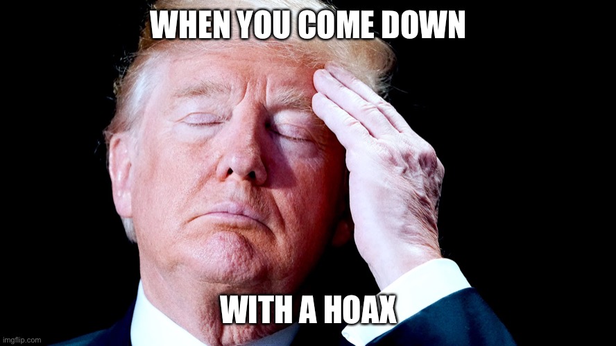 A Hoax No More | WHEN YOU COME DOWN; WITH A HOAX | image tagged in funny memes | made w/ Imgflip meme maker