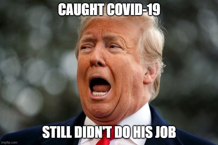 covid | CAUGHT COVID-19; STILL DIDN'T DO HIS JOB | image tagged in donald trump,trump,covid,job | made w/ Imgflip meme maker