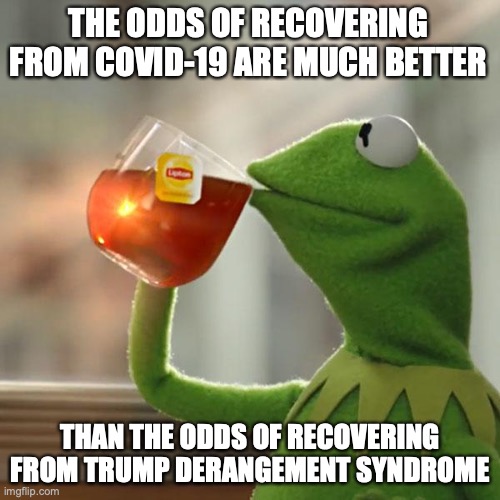 But That's None Of My Business Meme | THE ODDS OF RECOVERING FROM COVID-19 ARE MUCH BETTER; THAN THE ODDS OF RECOVERING FROM TRUMP DERANGEMENT SYNDROME | image tagged in memes,but that's none of my business,kermit the frog | made w/ Imgflip meme maker