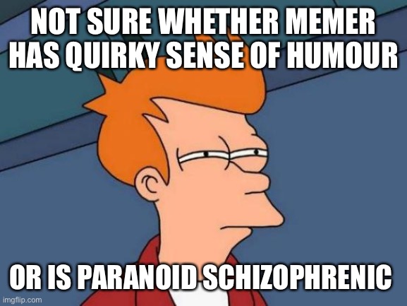 This is true more often than I would like it to be | NOT SURE WHETHER MEMER HAS QUIRKY SENSE OF HUMOUR; OR IS PARANOID SCHIZOPHRENIC | image tagged in memes,futurama fry | made w/ Imgflip meme maker