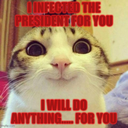 Smiling Cat Meme | I INFECTED THE PRESIDENT FOR YOU; I WILL DO ANYTHING..... FOR YOU | image tagged in memes,smiling cat | made w/ Imgflip meme maker