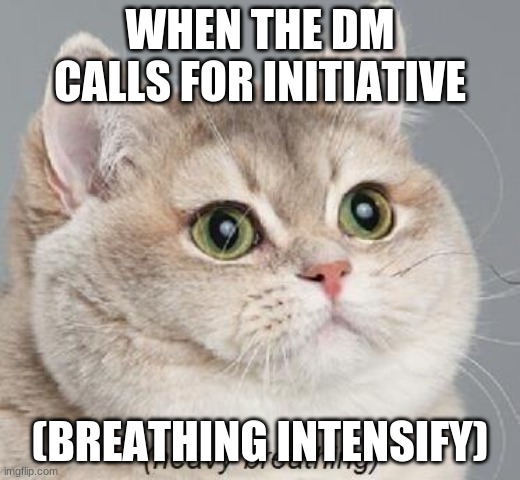 Heavy Breathing Cat | WHEN THE DM CALLS FOR INITIATIVE; (BREATHING INTENSIFY) | image tagged in memes,heavy breathing cat | made w/ Imgflip meme maker