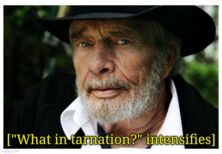 Merle Haggard | ["What in tarnation?" intensifies] | image tagged in merle haggard | made w/ Imgflip meme maker