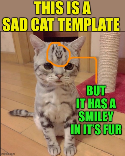 Hey ! Go figure ;-) | THIS IS A SAD CAT TEMPLATE; BUT IT HAS A SMILEY IN IT’S FUR | image tagged in sad cat eyes,smiley cat,spotted,silver linings,happy | made w/ Imgflip meme maker