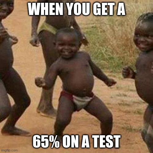 Third World Success Kid Meme | WHEN YOU GET A; 65% ON A TEST | image tagged in memes,third world success kid | made w/ Imgflip meme maker