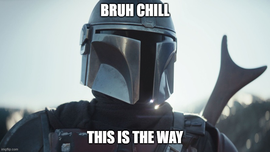 The Mandalorian. | BRUH CHILL THIS IS THE WAY | image tagged in the mandalorian | made w/ Imgflip meme maker