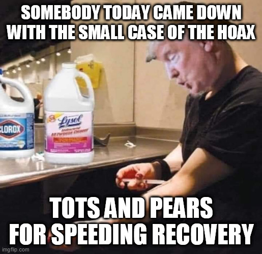Karma | SOMEBODY TODAY CAME DOWN WITH THE SMALL CASE OF THE HOAX; TOTS AND PEARS FOR SPEEDING RECOVERY | image tagged in donald trump,coronavirus,republicans,trump supporters,bleach | made w/ Imgflip meme maker