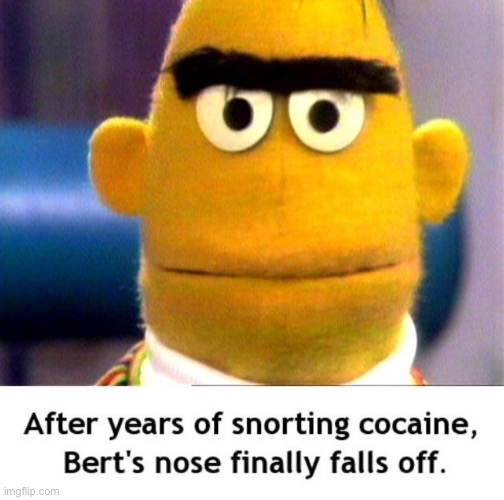 It was bound to happen | image tagged in funny,memes,funny memes,sesame street,bert,cocaine | made w/ Imgflip meme maker