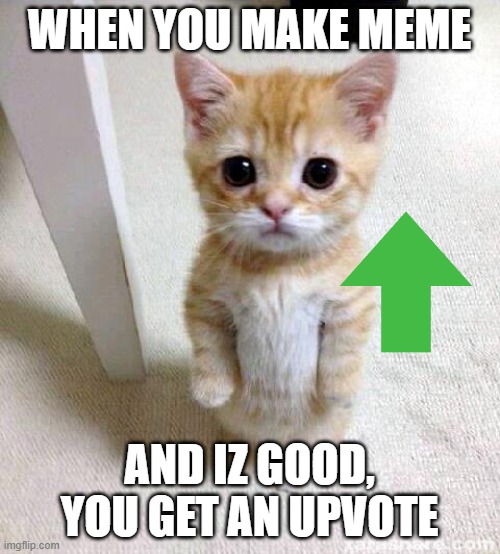 Cute Cat | WHEN YOU MAKE MEME AND IZ GOOD, YOU GET AN UPVOTE | image tagged in memes,cute cat | made w/ Imgflip meme maker