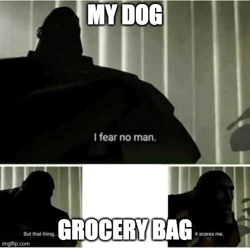 I fear no man | MY DOG; GROCERY BAG | image tagged in i fear no man | made w/ Imgflip meme maker