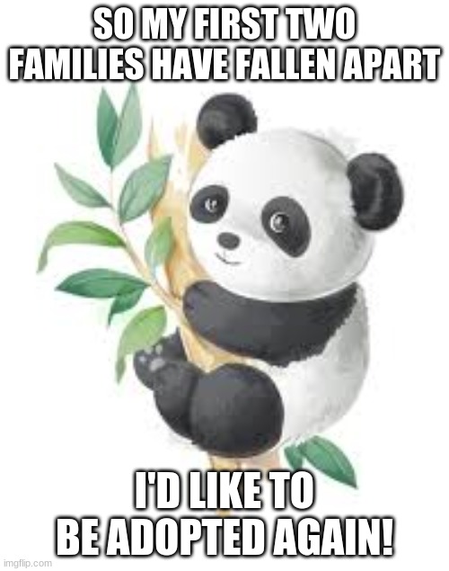 SO MY FIRST TWO FAMILIES HAVE FALLEN APART; I'D LIKE TO BE ADOPTED AGAIN! | made w/ Imgflip meme maker