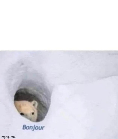 Bonjour | image tagged in bonjour | made w/ Imgflip meme maker