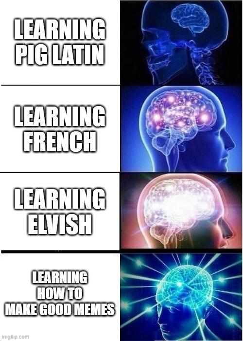 Big Brain | LEARNING PIG LATIN; LEARNING FRENCH; LEARNING ELVISH; LEARNING HOW TO MAKE GOOD MEMES | image tagged in memes,expanding brain | made w/ Imgflip meme maker