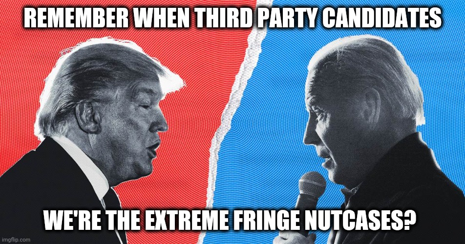 Election 2020 | REMEMBER WHEN THIRD PARTY CANDIDATES; WE'RE THE EXTREME FRINGE NUTCASES? | image tagged in politics | made w/ Imgflip meme maker
