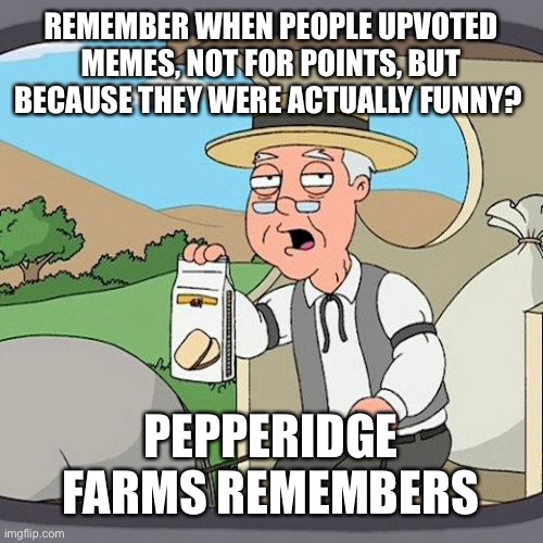 Pepperidge Farm Remembers | REMEMBER WHEN PEOPLE UPVOTED MEMES, NOT FOR POINTS, BUT BECAUSE THEY WERE ACTUALLY FUNNY? PEPPERIDGE FARMS REMEMBERS | image tagged in memes,pepperidge farm remembers,upvote begging | made w/ Imgflip meme maker