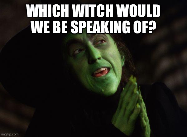 Wicked Witch West | WHICH WITCH WOULD WE BE SPEAKING OF? | image tagged in wicked witch west | made w/ Imgflip meme maker