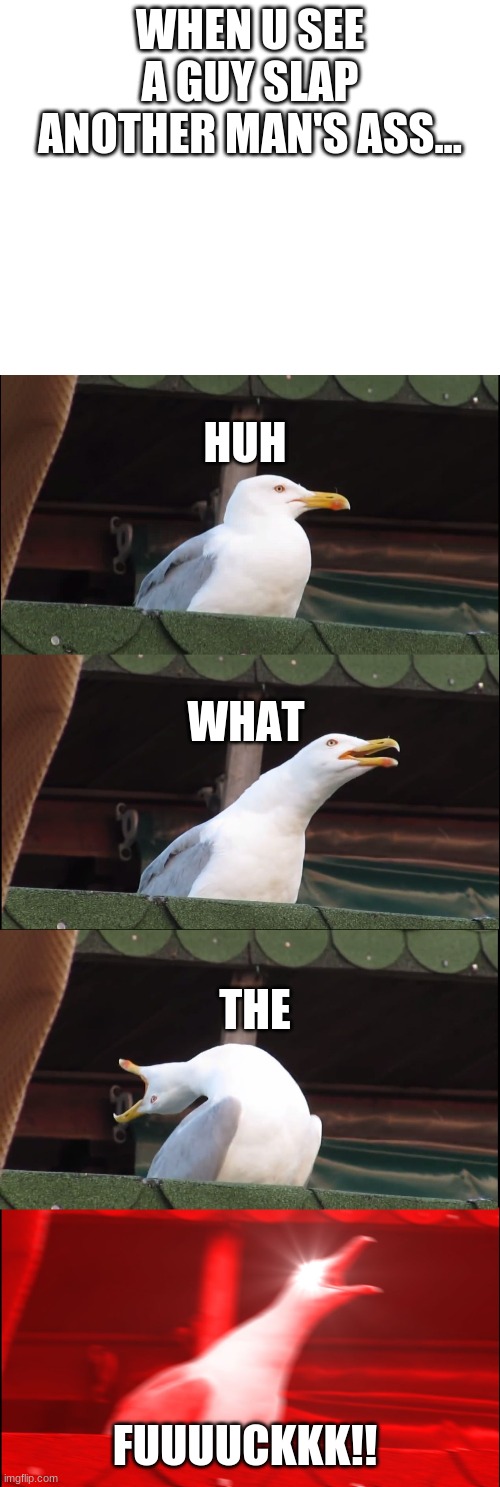 wtf | WHEN U SEE A GUY SLAP ANOTHER MAN'S ASS... HUH; THE; WHAT; FUUUUCKKK!! | image tagged in memes,inhaling seagull | made w/ Imgflip meme maker