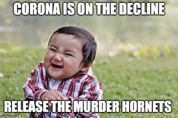 Evil Toddler Meme | CORONA IS ON THE DECLINE; RELEASE THE MURDER HORNETS | image tagged in memes,evil toddler | made w/ Imgflip meme maker