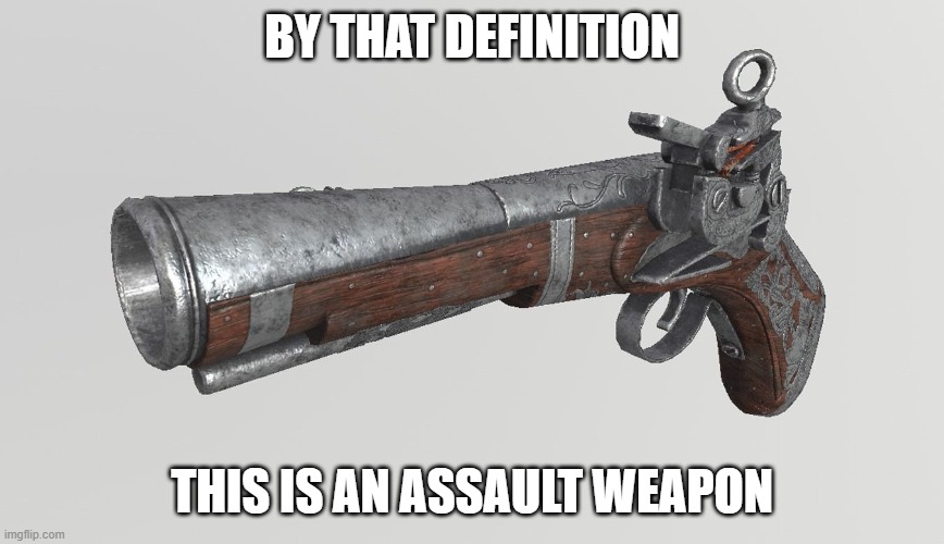 musket | BY THAT DEFINITION THIS IS AN ASSAULT WEAPON | image tagged in musket | made w/ Imgflip meme maker