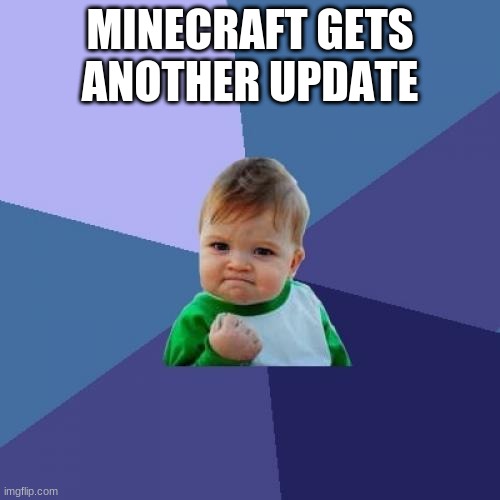 Success Kid | MINECRAFT GETS ANOTHER UPDATE | image tagged in memes,success kid | made w/ Imgflip meme maker