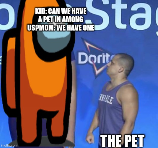the pet at home | KID: CAN WE HAVE A PET IN AMONG US?MOM: WE HAVE ONE; THE PET | image tagged in tyler1 meme | made w/ Imgflip meme maker