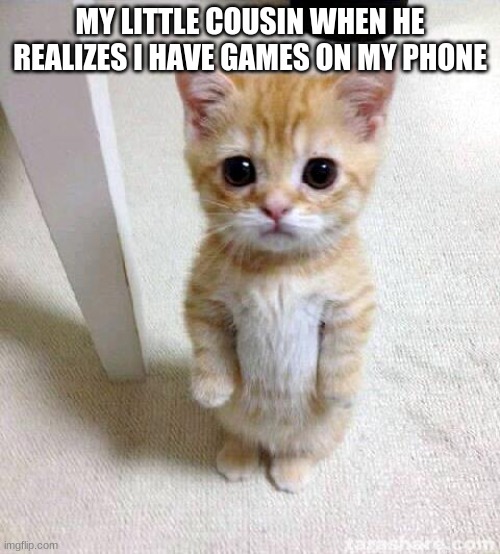 Cute Cat Meme | MY LITTLE COUSIN WHEN HE REALIZES I HAVE GAMES ON MY PHONE | image tagged in memes,cute cat,cousin,cute | made w/ Imgflip meme maker