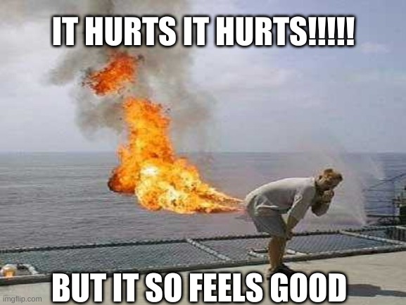 bro | IT HURTS IT HURTS!!!!! BUT IT SO FEELS GOOD | image tagged in farts | made w/ Imgflip meme maker