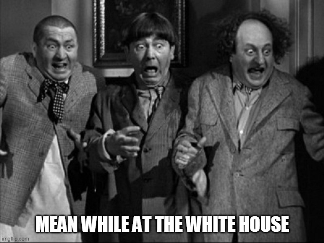white house | MEAN WHILE AT THE WHITE HOUSE | image tagged in memes | made w/ Imgflip meme maker