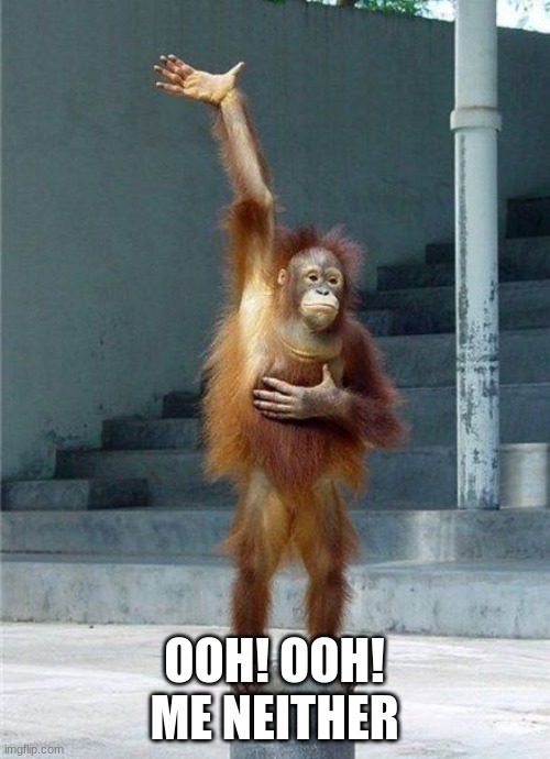 Monkey Raising Hand | OOH! OOH! ME NEITHER | image tagged in monkey raising hand | made w/ Imgflip meme maker