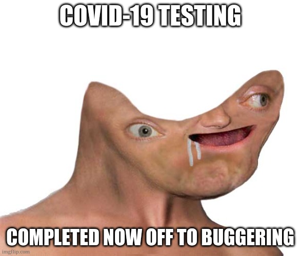 Covid -19 Testing | COVID-19 TESTING; COMPLETED NOW OFF TO BUGGERING | image tagged in covid-19,testing,funny memes | made w/ Imgflip meme maker