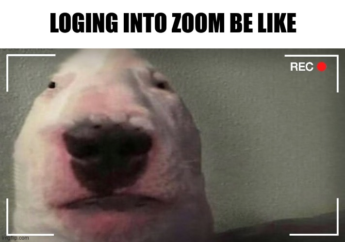 zoom | LOGING INTO ZOOM BE LIKE | image tagged in zoom,cursed image | made w/ Imgflip meme maker