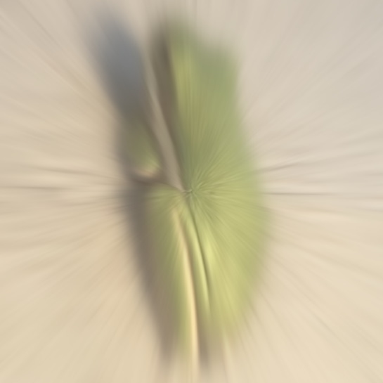 Frog blur Blank Meme Template