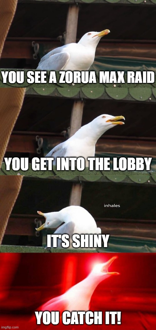 inhaling seagull 4 red | YOU SEE A ZORUA MAX RAID; YOU GET INTO THE LOBBY; IT'S SHINY; YOU CATCH IT! | image tagged in inhaling seagull 4 red | made w/ Imgflip meme maker