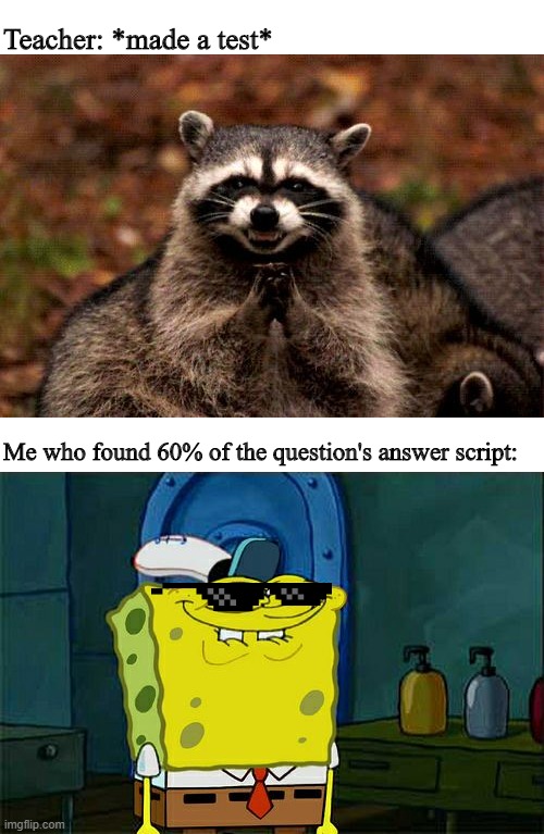 Don't you just love it then? | Teacher: *made a test*; Me who found 60% of the question's answer script: | image tagged in memes,don't you squidward,evil plotting raccoon | made w/ Imgflip meme maker