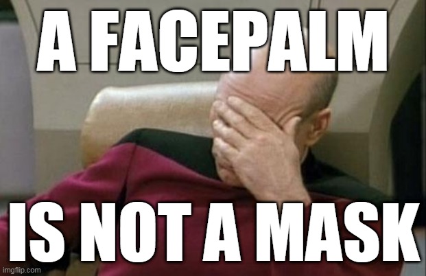 Captain Picard Facepalm | A FACEPALM; IS NOT A MASK | image tagged in memes,captain picard facepalm | made w/ Imgflip meme maker